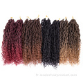 Model River Faux Locs Freetress Boho Crochet Cheveux
